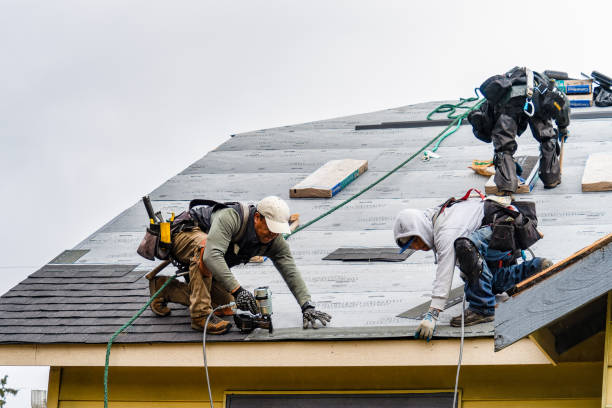 Professional Storm Damage Roof Repair technician working in Renfro Valley, KY